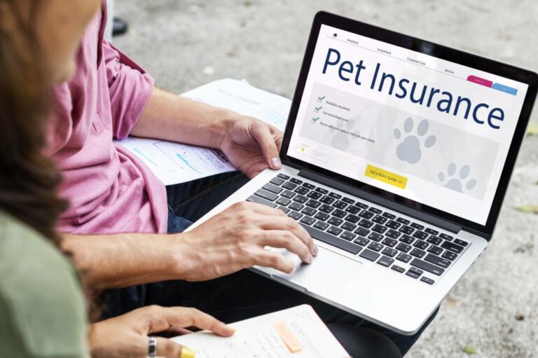 Popular pet insurance providers in 2026